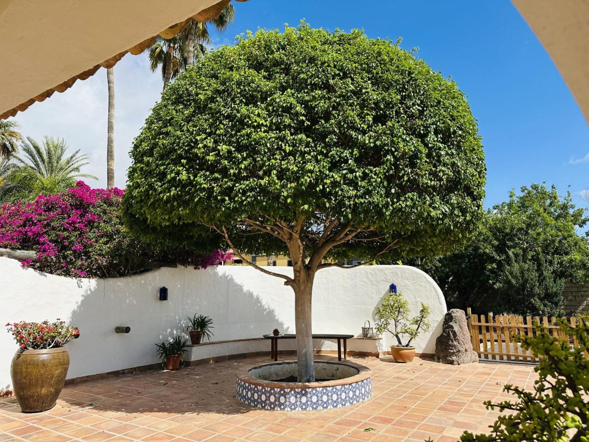 Villa FINCA INGALA Costa Adeje  Esterno foto
